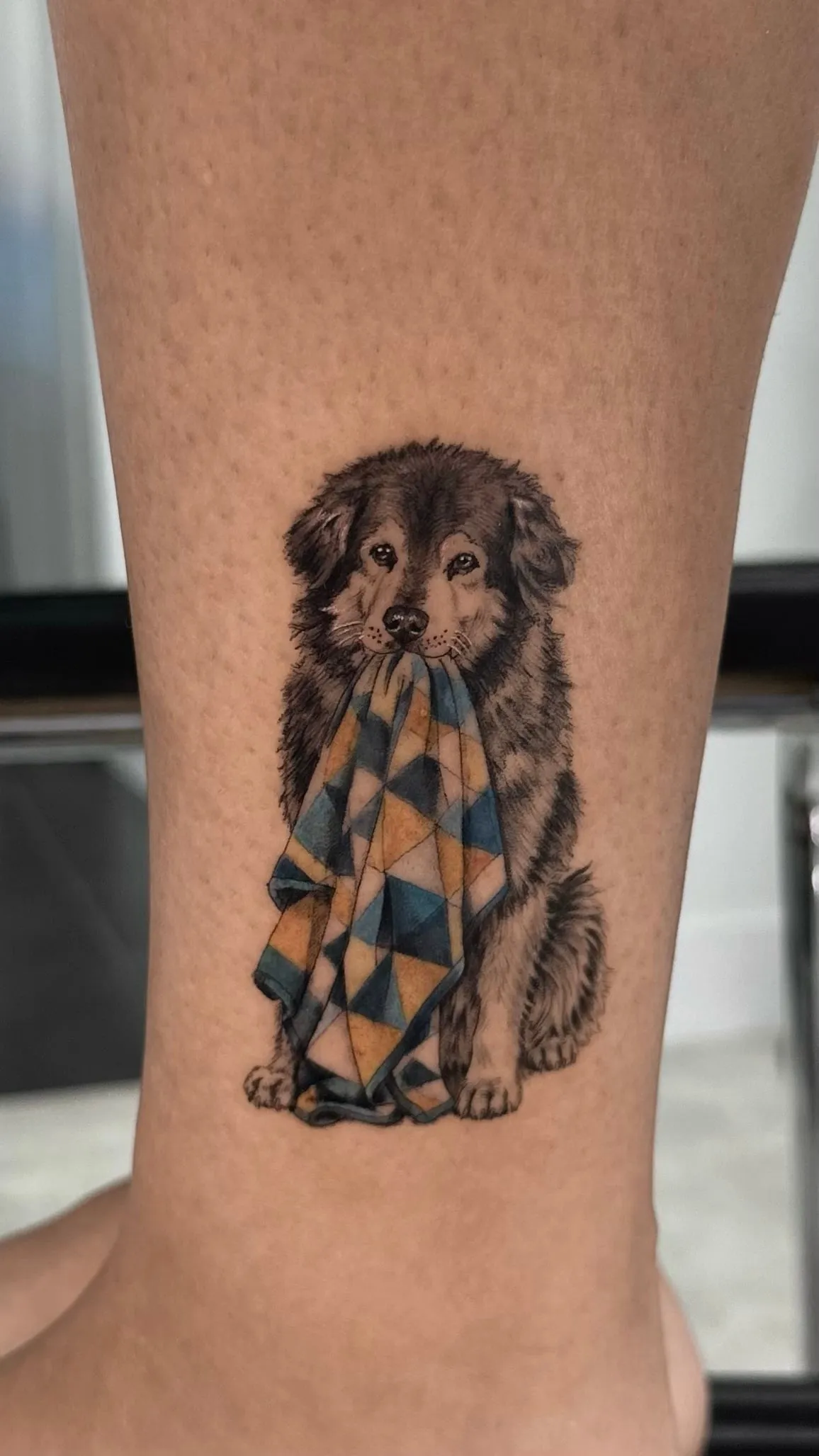 Retrato realista de un perro de pelo largo sentado sujetando con la boca una manta de triángulos en azul y ocre, en la pierna