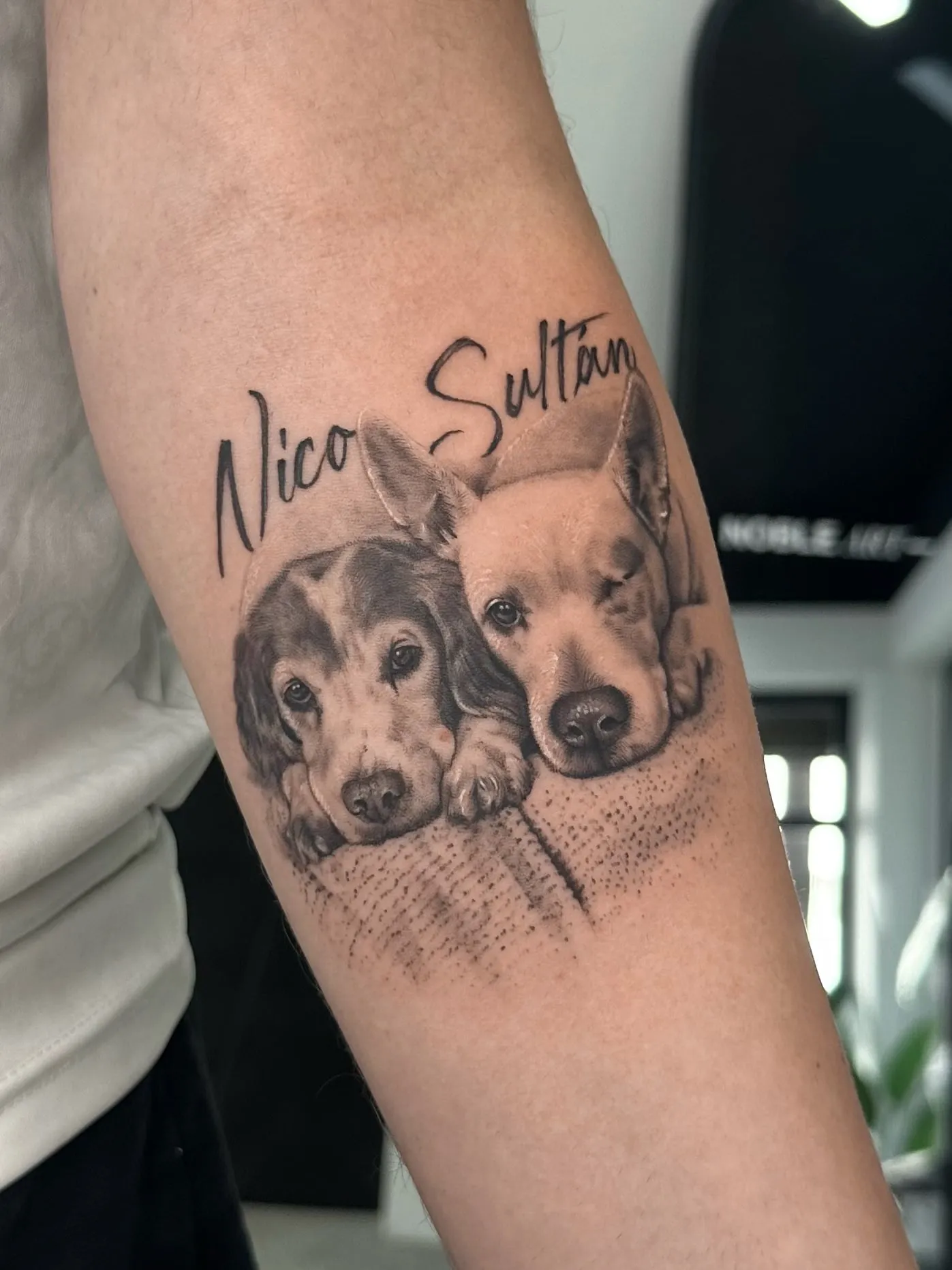 Retrato realista en negro y gris de dos perros tumbados juntos sobre una manta, con sus nombres Nico y Sultán, en el antebrazo